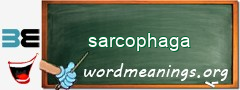 WordMeaning blackboard for sarcophaga